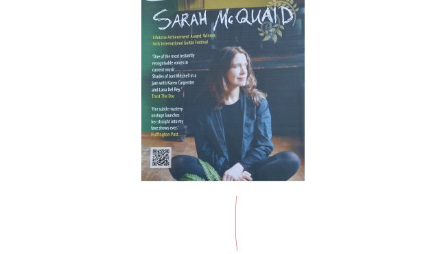 Sarah MCquaid Live Music