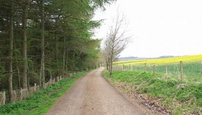 Tweeddale Ramblers at Eckford 