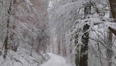 South of Scotland Explore (Dec25-Jan26)