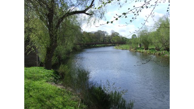 River Teviot, Kalemouth July 2021