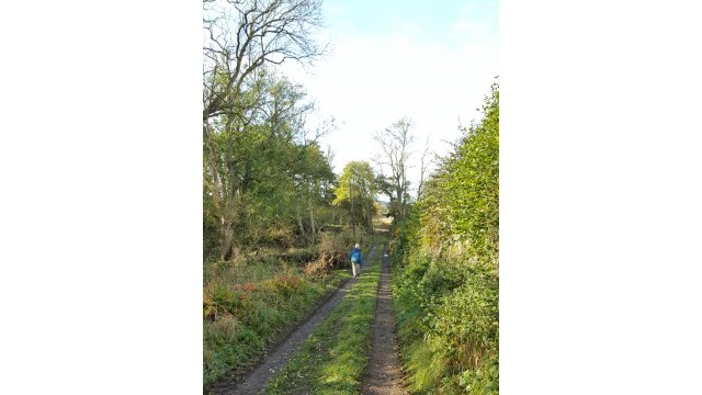 (1) Boat House Track Nisbet. D Faulds 