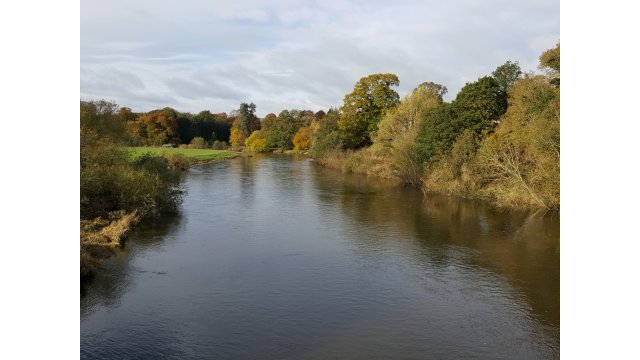 (5)  River Teviot westwards towards Monteviot boathouse. D Faulds