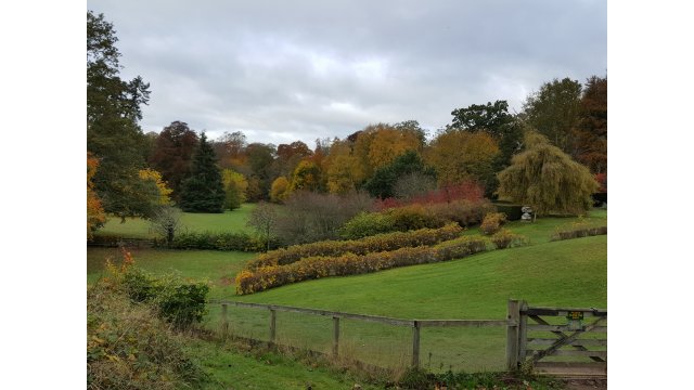 (6) Monteviot House Gardens from St Cuthbert’s Way. D Faulds